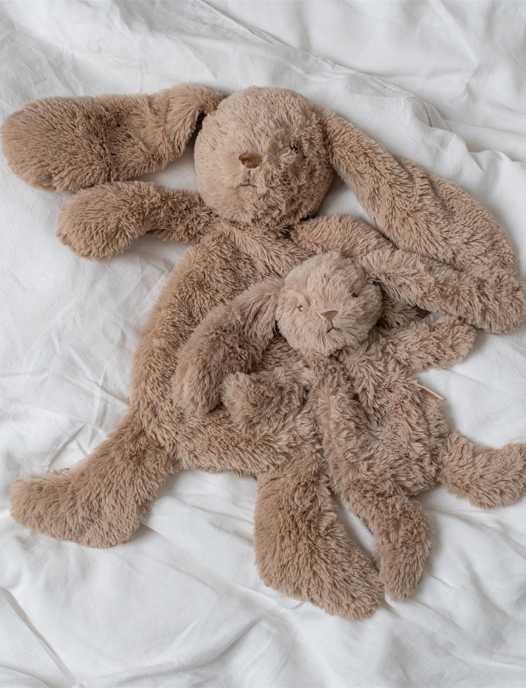 That’s Mine Houston Heavy Teddy - klein