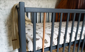 Woodies Stardust Cot - Anthracite  - Hola BB